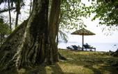 Туры в отель Bamboo Cottages & Restaurant