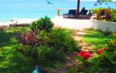 Туры в отель Bamboo Cottages & Restaurant