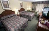 Туры в отель Comfort Inn Fallsview