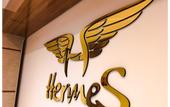 Туры в отель Hermes Hotel