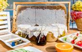 Туры в отель Barbarossa Hotel & Villas