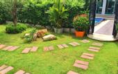 Туры в отель Villa Navin Beach Residence