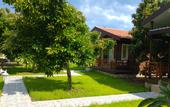 Туры в отель Apella Hotel