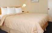 Туры в отель Comfort Inn Santa Monica