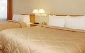 Туры в отель Comfort Inn Santa Monica
