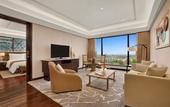 Туры в отель The Leela Ambience Convention Hotel Delhi