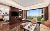 Туры в отель The Leela Ambience Convention Hotel Delhi