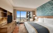 Туры в отель The Leela Ambience Convention Hotel Delhi