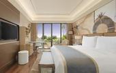 Туры в отель The Leela Ambience Convention Hotel Delhi