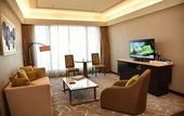Туры в отель The Leela Ambience Convention Hotel Delhi