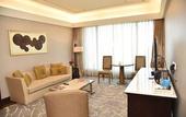 Туры в отель The Leela Ambience Convention Hotel Delhi