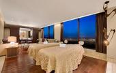 Туры в отель The Leela Ambience Convention Hotel Delhi