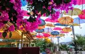 Туры в отель Hotel Caria Royal