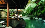 Туры в отель COMO Shambhala Estate