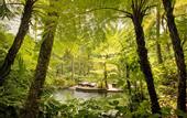 Туры в отель COMO Shambhala Estate