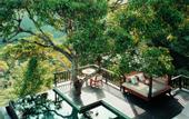 Туры в отель COMO Shambhala Estate