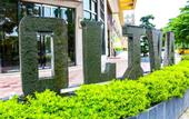 Туры в отель Oliva Hotel