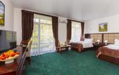 Туры в отель Wellness Park Hotel Gagra