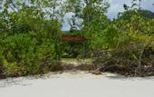 Туры в отель Heliconia Grove
