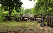 Туры в отель Heliconia Grove
