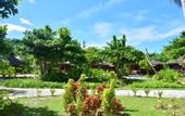 Туры в отель Heliconia Grove