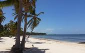 Туры в отель Bavaro Green Apartments