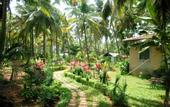 Туры в отель Alagoa Resort
