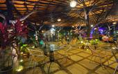 Туры в отель Alagoa Resort