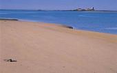 Туры в отель Barrosa Garden Hotel