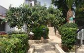 Туры в отель Aphelandra Hotel Apartment