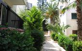 Туры в отель Aphelandra Hotel Apartment