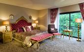 Туры в отель NG Sapanca Wellness & Convention