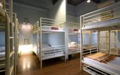 Туры в отель Green Kiwi Backpacker Hostel