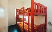 Туры в отель Green Kiwi Backpacker Hostel