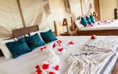 Туры в отель Zan View Hotel