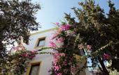 Туры в отель Club Jiba Hotel