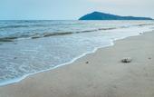 Туры в отель Koh Chang Boat Chalet