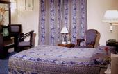 Туры в отель Hotel Concorde Dokki
