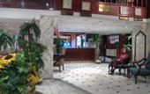 Туры в отель Hotel Concorde Dokki