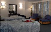 Туры в отель Hotel Concorde Dokki