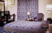 Туры в отель Hotel Concorde Dokki