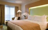 Туры в отель Hotel Concorde Dokki