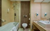Туры в отель Alaiye Resort & Spa Hotel