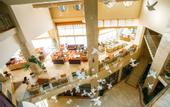 Туры в отель Alaiye Resort & Spa Hotel