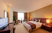 Туры в отель Muong Thanh Vung Tau Hotel