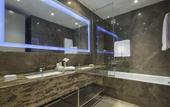 Туры в отель Hilton Garden Inn Istanbul Ataturk Airport