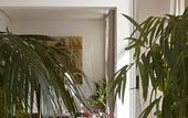 Туры в отель Hotel Ocean Vagabond Essaouira