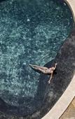 Туры в отель Hotel Ocean Vagabond Essaouira