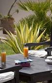 Туры в отель Hotel Ocean Vagabond Essaouira