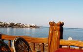 Туры в отель Neptune Dahab Hotel